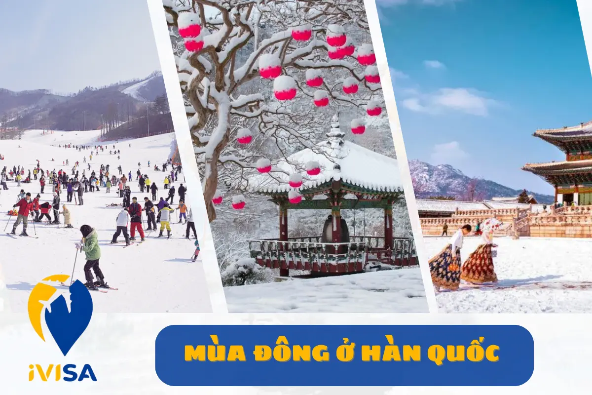 mua-dong-o-han-quoc