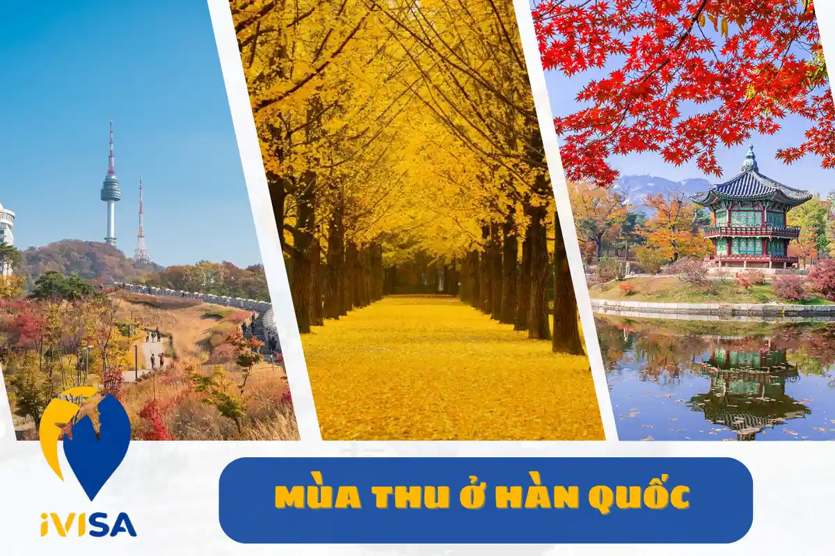 mua-thu-o-han-quoc
