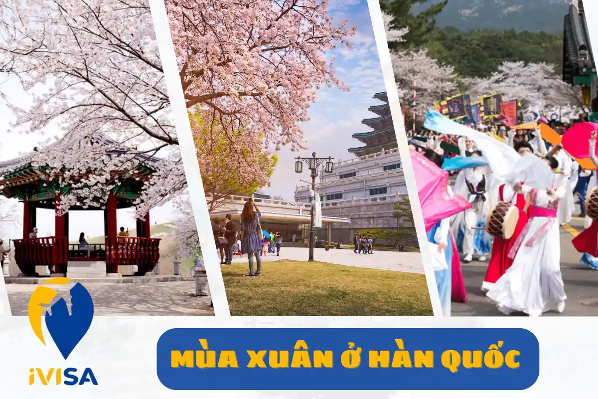 mua-xuan-o-han-quoc