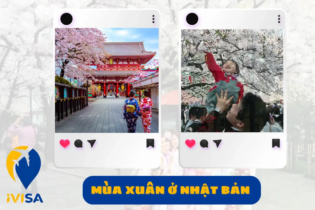 mua-xuan-o-nhat