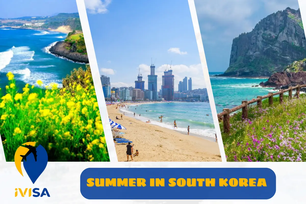 summer-in-south-korea