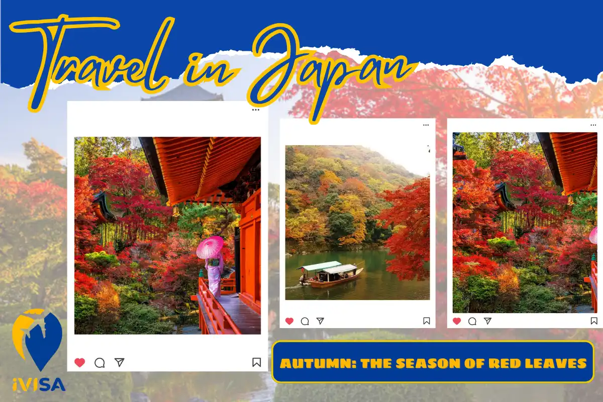 autumn-the-season-of-red-leaves
