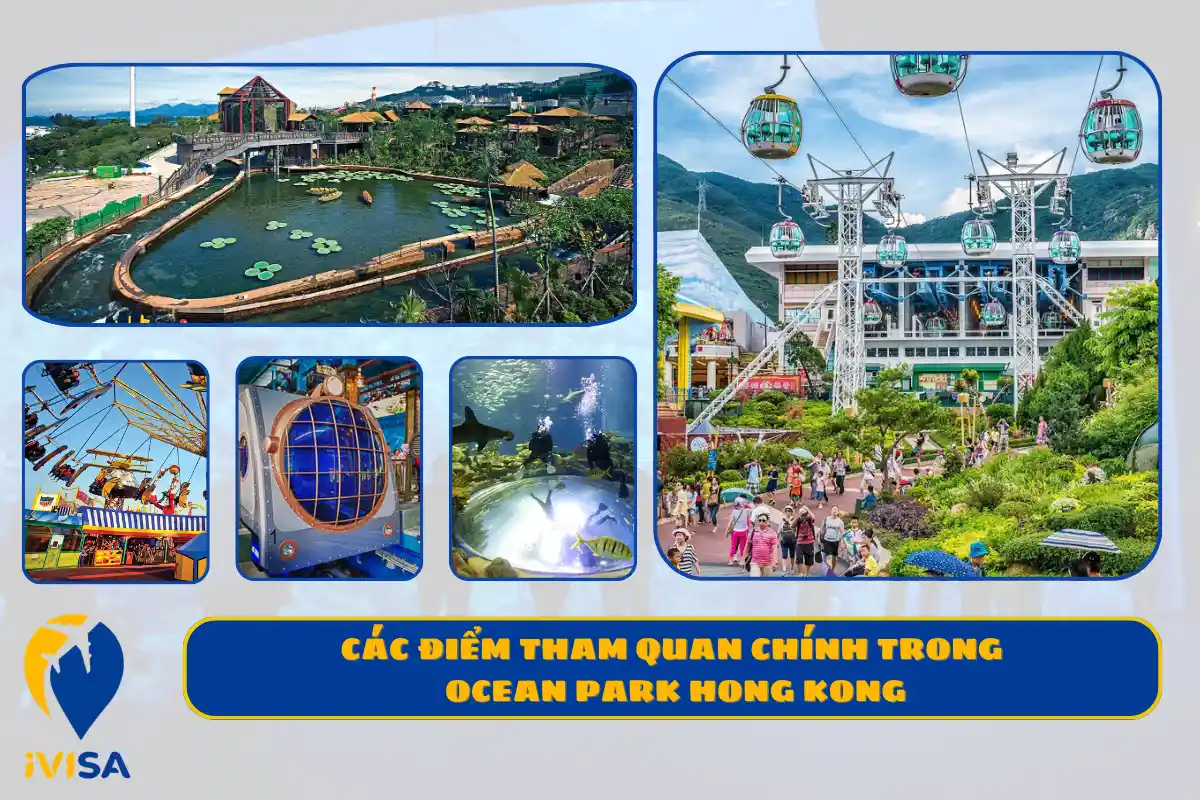 cac-diem-tham-quan-chinh-trong-ocean-park-hong-kong