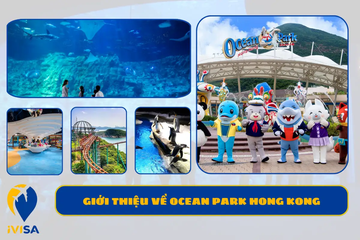 gioi-thieu-ve-ocean-park-hong-kong