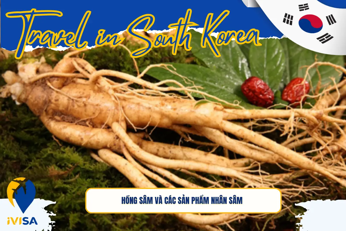 hong-sam-va-cac-san-pham-nhan-sam