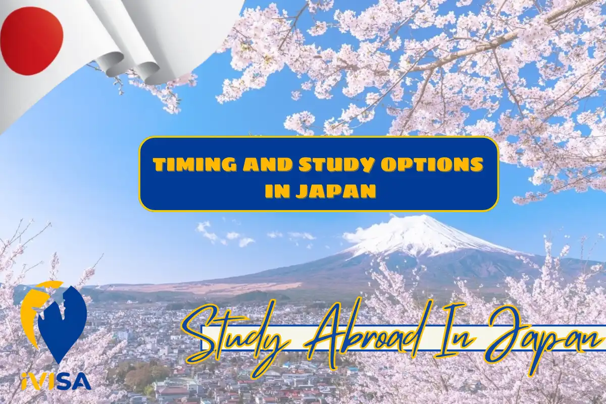 timing-and-study-options-in-japan