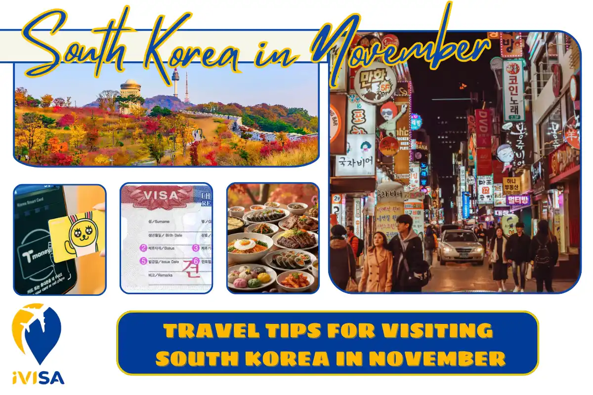 travel-tips-for-visiting-south-korea-in-november