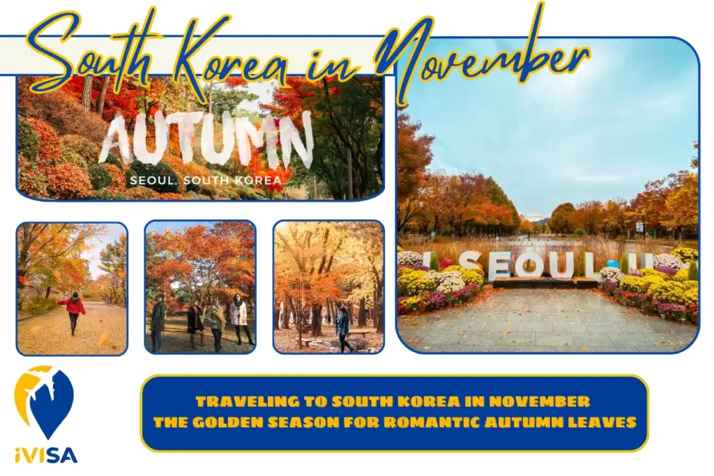 traveling-to-south-korea-in-november-the-golden-season-for-romantic-autumn-leaves