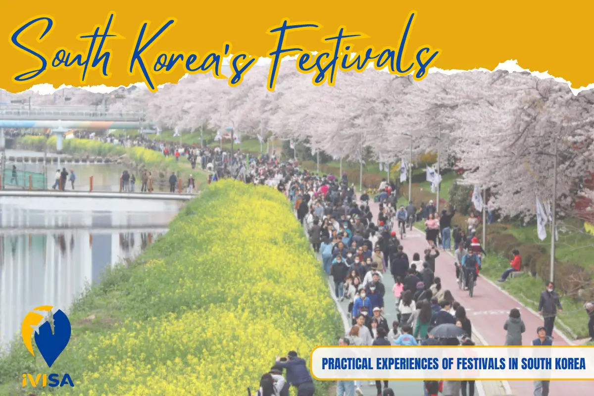 practical-experiences-of-festivals-in-south-korea