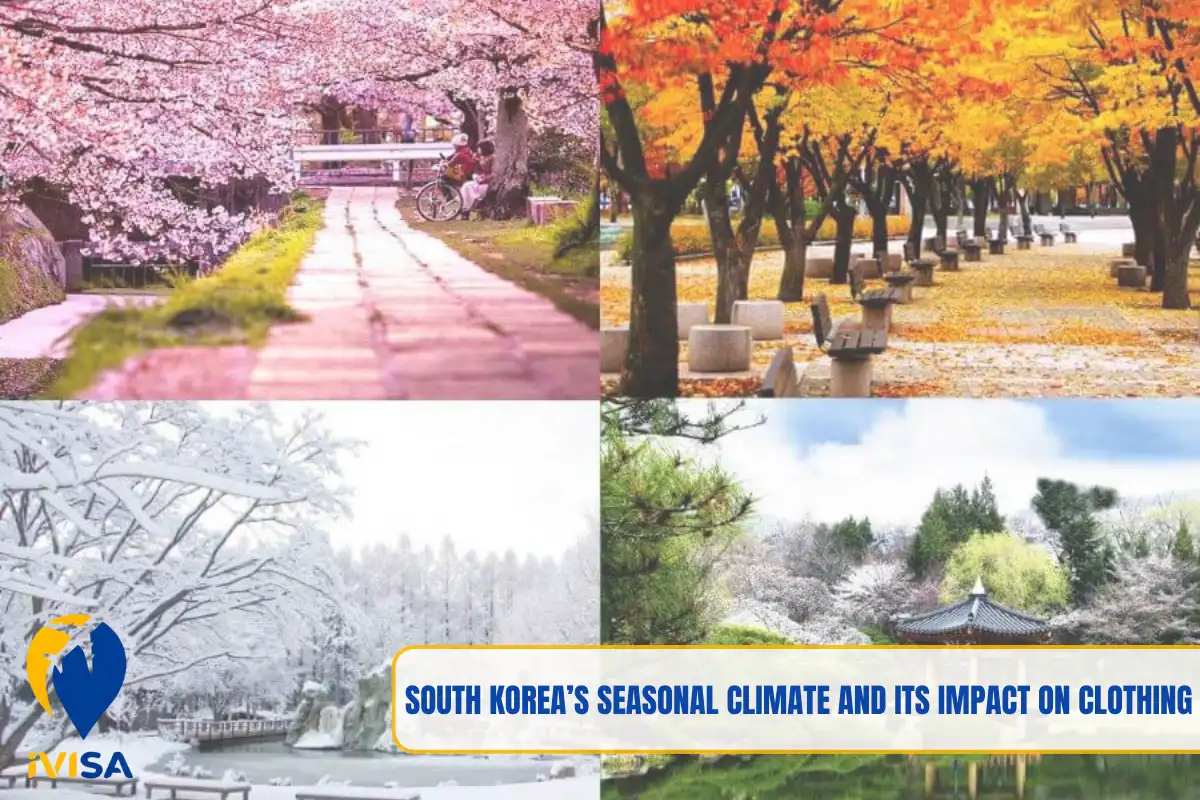 south-koreas-seasonal-climate-and-its-impact-on-clothing