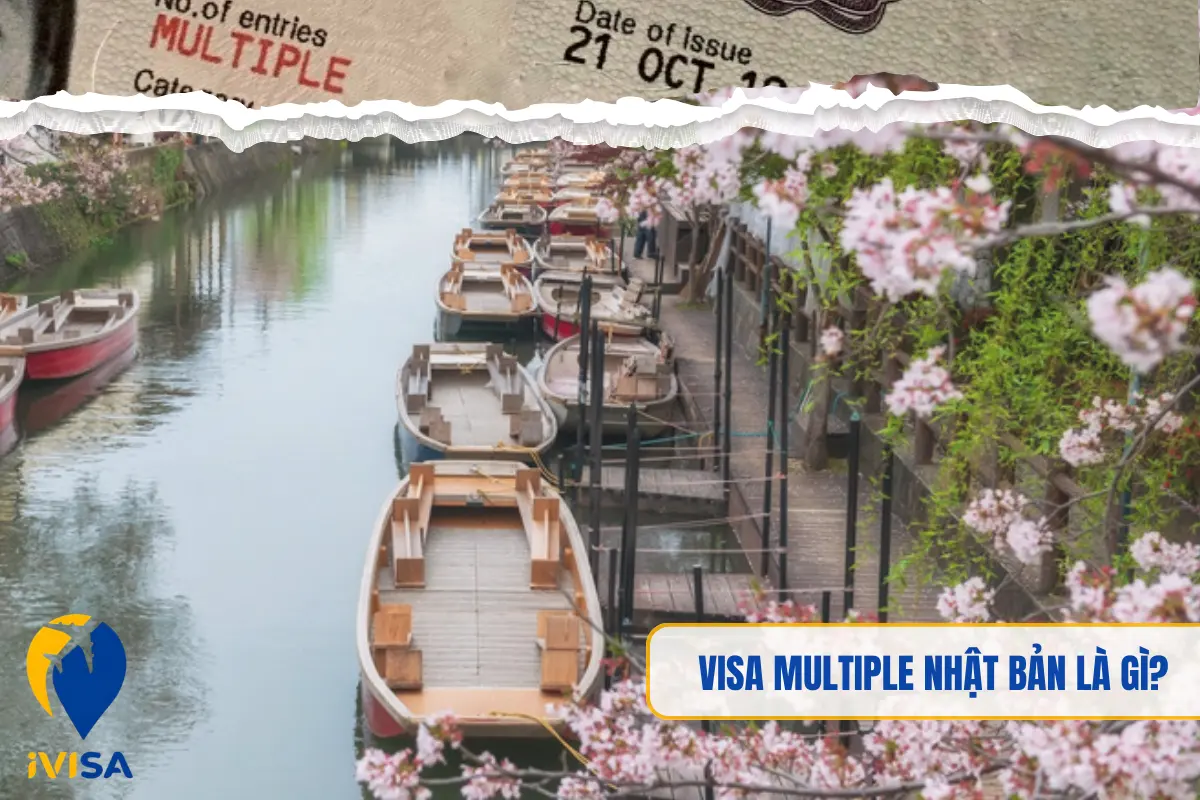 visa-multiple-nhat-ban-la-gi