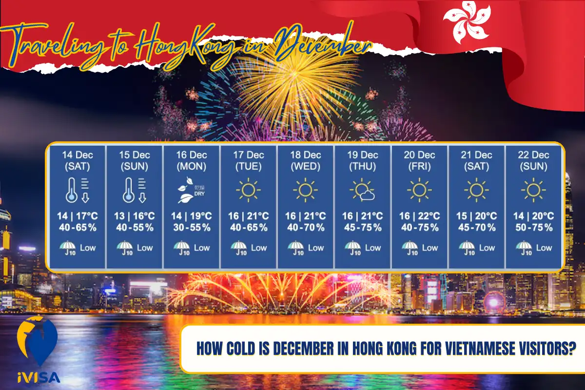 how-cold-is-december-in-hong-kong-for-vietnamese-visitors