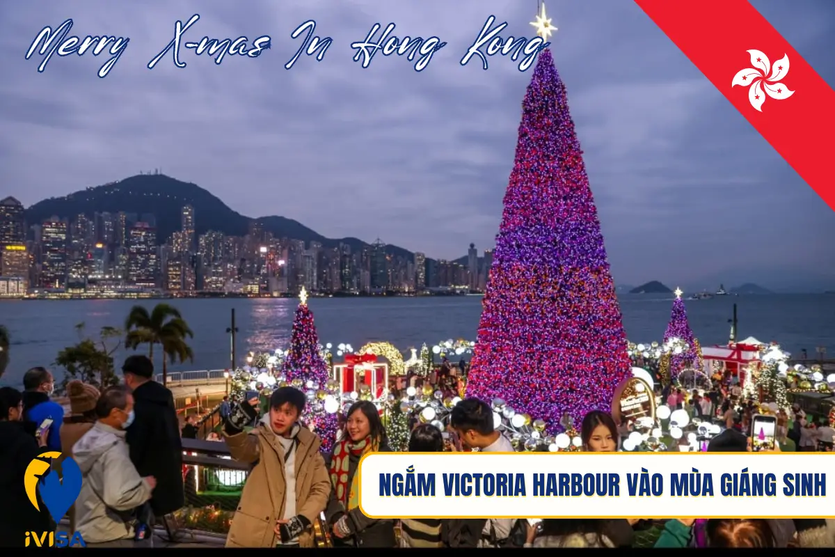 ngam-victoria-harbour-vao-mua-giang-sinh