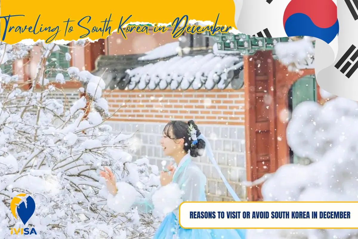 reasons-to-visit-or-avoid-south-korea-in-december