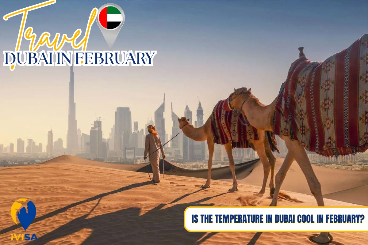 is-the-temperature-in-dubai-cool-in-february