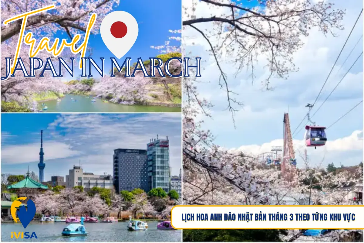 lich-hoa-anh-dao-nhat-ban-thang-3-theo-tung-khu-vuc