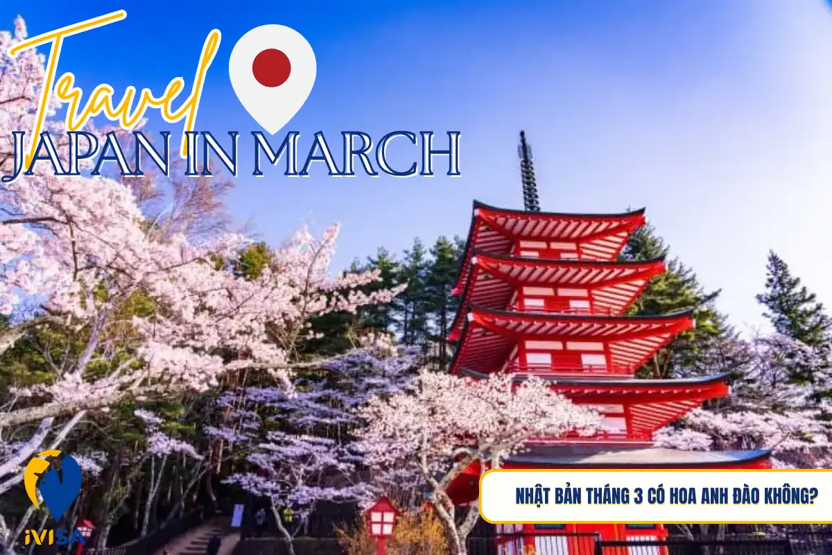 nhat-ban-thang-3-co-hoa-anh-dao-khong