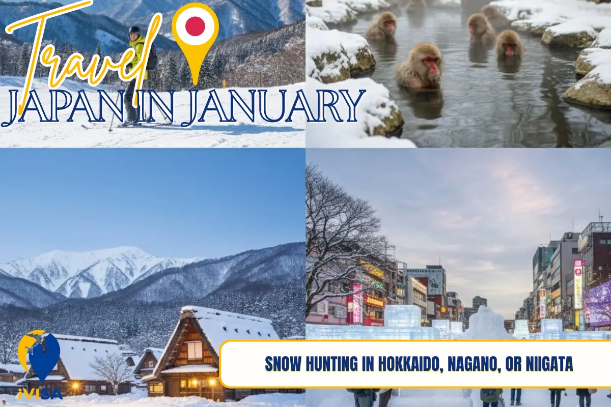 snow-hunting-in-hokkaido-nagano-or-niigata