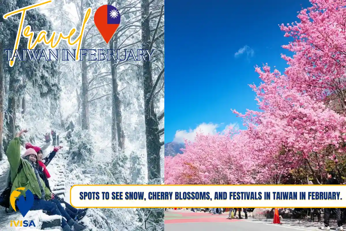 spots-to-see-snow-cherry-blossoms-and-festivals-in-taiwan-in-february